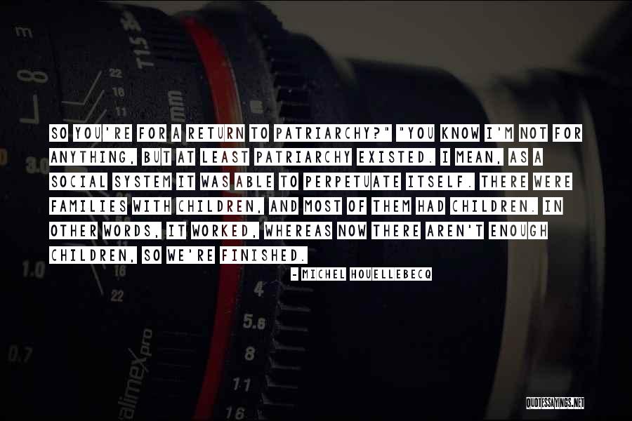 Sometimes Words Aren't Enough Quotes By Michel Houellebecq Sometimes Words Aren't Enough Quotes By Michel Houellebecq