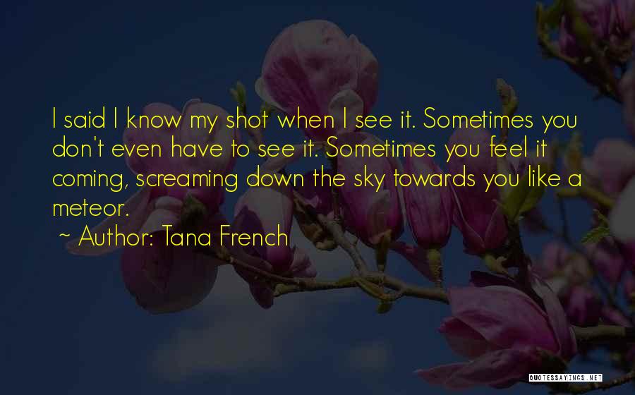 Sometimes You Don't Know Quotes By Tana French