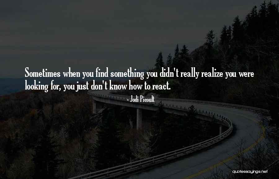 Sometimes You Don't Realize Quotes By Jodi Picoult