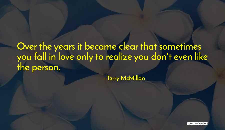 Sometimes You Don't Realize Quotes By Terry McMillan