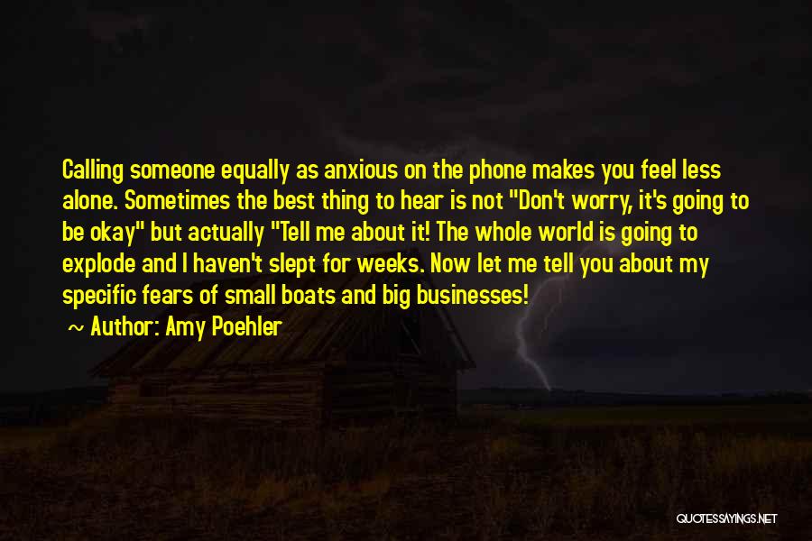 Sometimes You Feel Alone Quotes By Amy Poehler