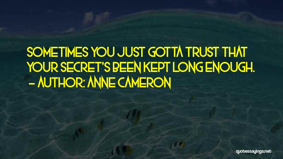 Sometimes You Gotta Quotes By Anne Cameron