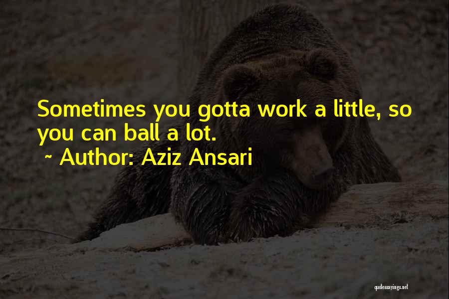 Sometimes You Gotta Quotes By Aziz Ansari