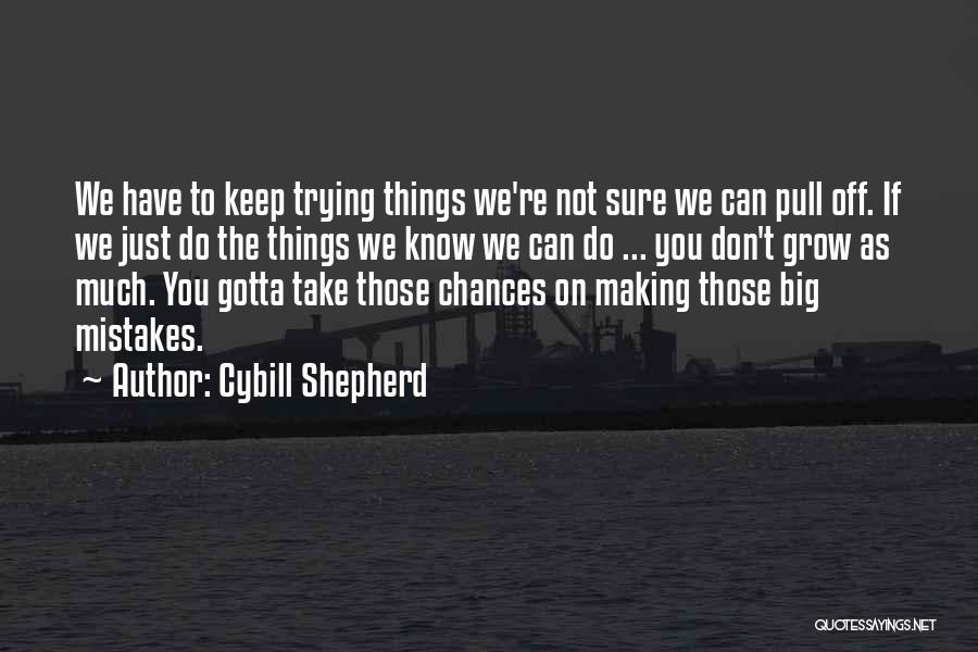 Sometimes You Gotta Take Chance Quotes By Cybill Shepherd
