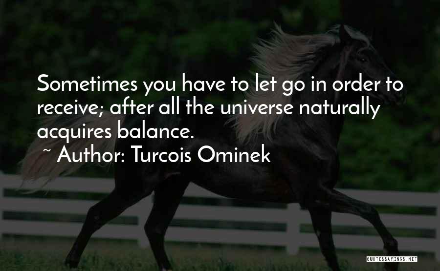 Sometimes You Have Let Go Quotes By Turcois Ominek