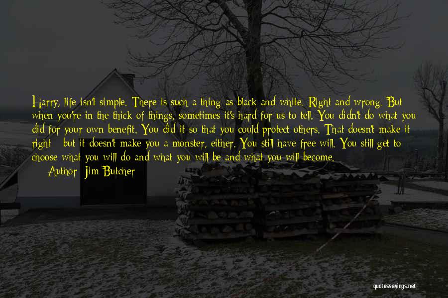 Sometimes You Have To Do What's Right Quotes By Jim Butcher