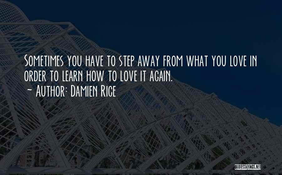 Sometimes You Have To Learn Quotes By Damien Rice