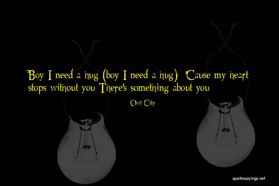 Sometimes You Just Need A Hug Quotes By Owl City