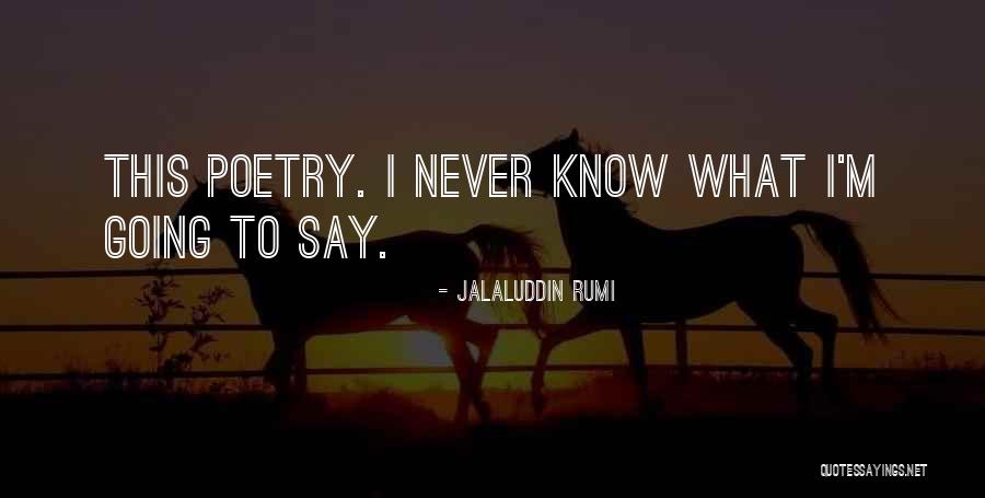 Sometimes You Need To Disconnect Quotes By Jalaluddin Rumi