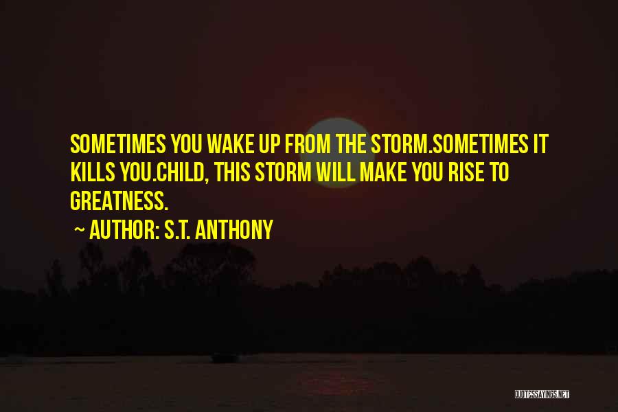 Sometimes You Wake Up Quotes By S.T. Anthony