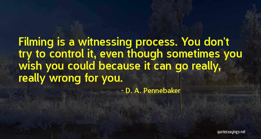 Sometimes You Wish Quotes By D. A. Pennebaker