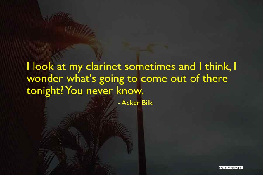 Sometimes You Wonder Quotes By Acker Bilk