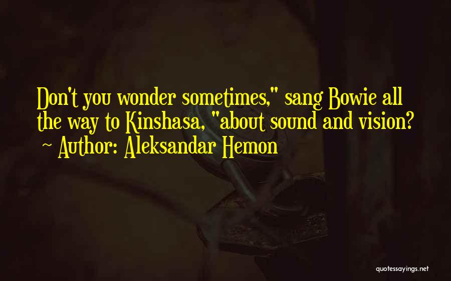 Sometimes You Wonder Quotes By Aleksandar Hemon