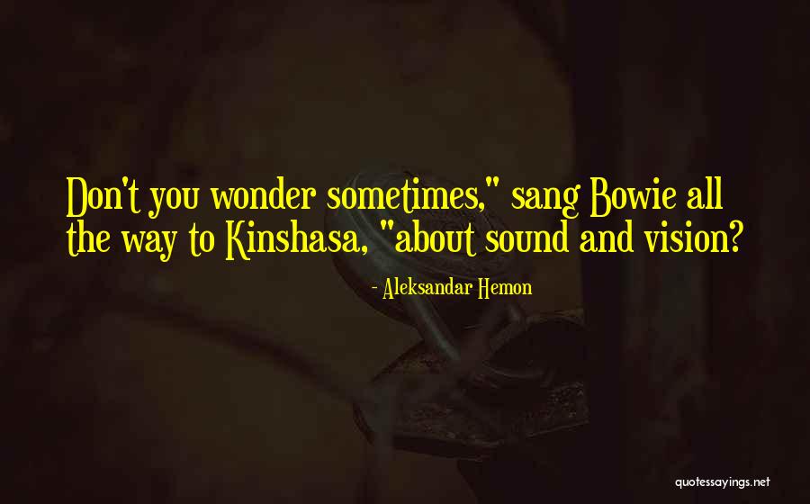 Sometimes You Wonder Quotes By Aleksandar Hemon Sometimes You Wonder Quotes By Aleksandar Hemon