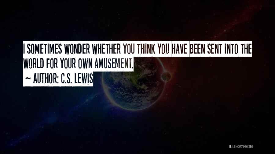 Sometimes You Wonder Quotes By C.S. Lewis