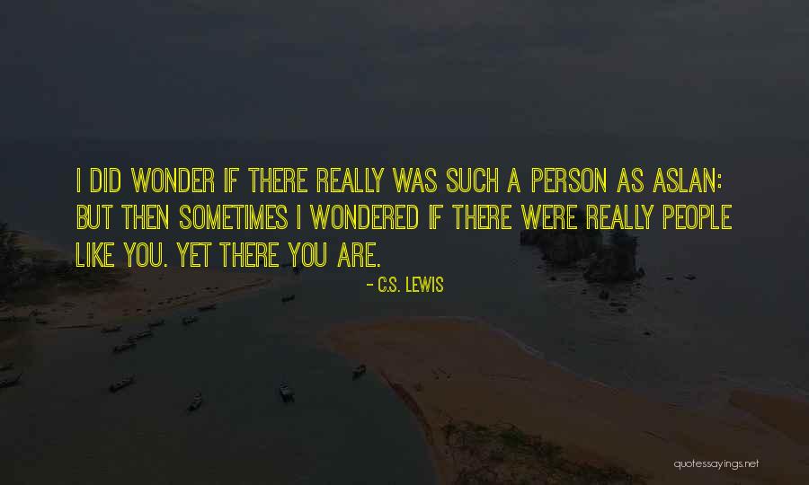 Sometimes You Wonder Quotes By C.S. Lewis