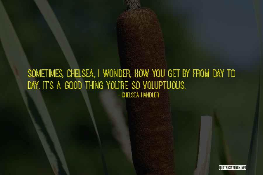 Sometimes You Wonder Quotes By Chelsea Handler Sometimes You Wonder Quotes By Chelsea Handler