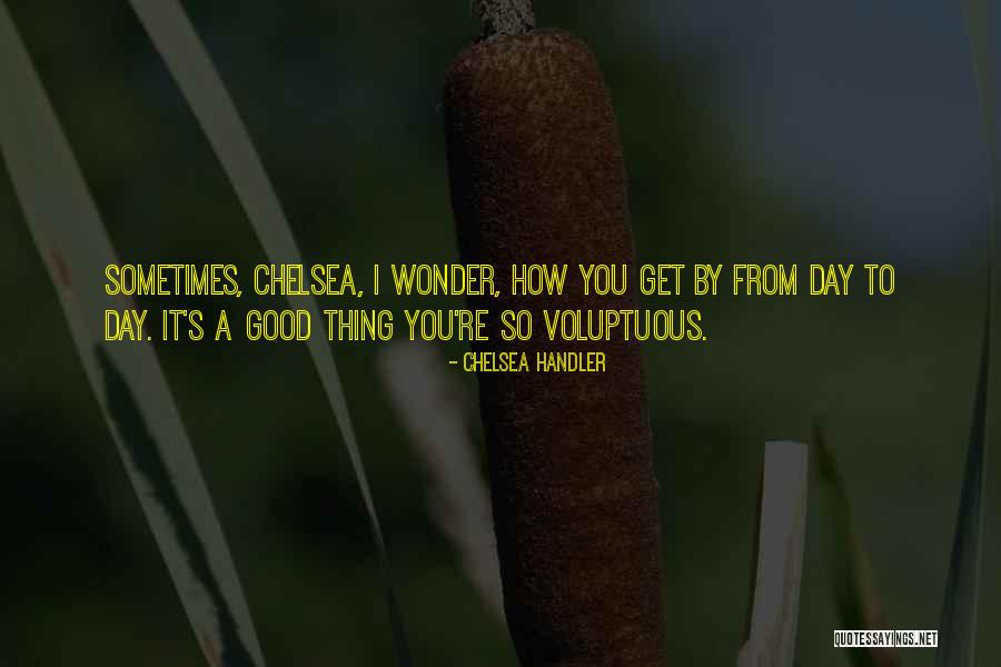 Sometimes You Wonder Quotes By Chelsea Handler