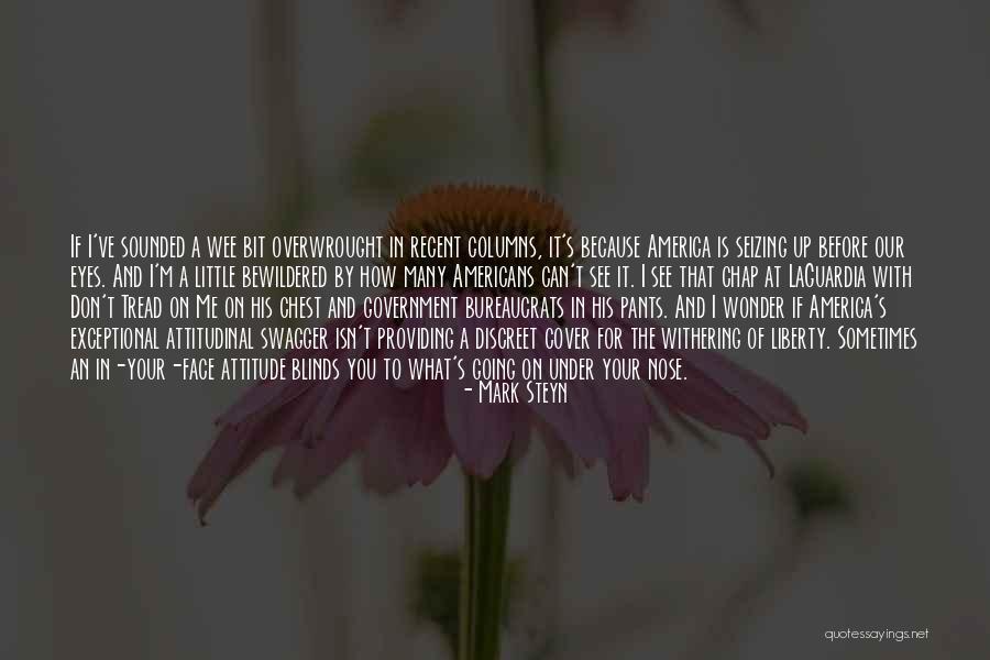 Sometimes You Wonder Quotes By Mark Steyn Sometimes You Wonder Quotes By Mark Steyn
