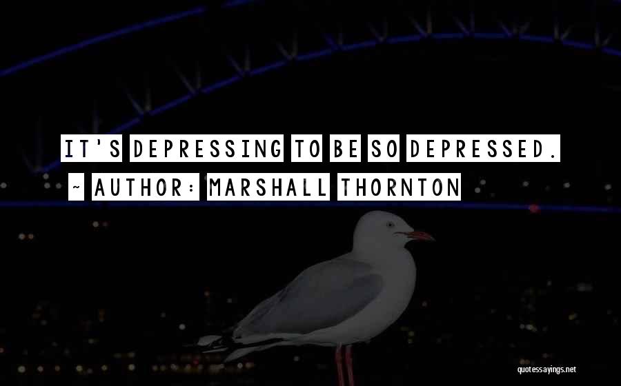 Somewhat Depressing Quotes By Marshall Thornton
