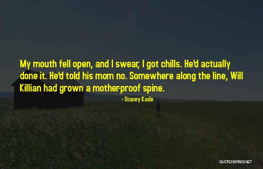 Somewhere Along The Line Quotes By Stacey Kade