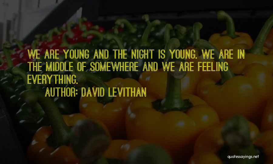 Somewhere In The Night Quotes By David Levithan