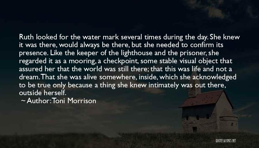 Somewhere Like This Quotes By Toni Morrison