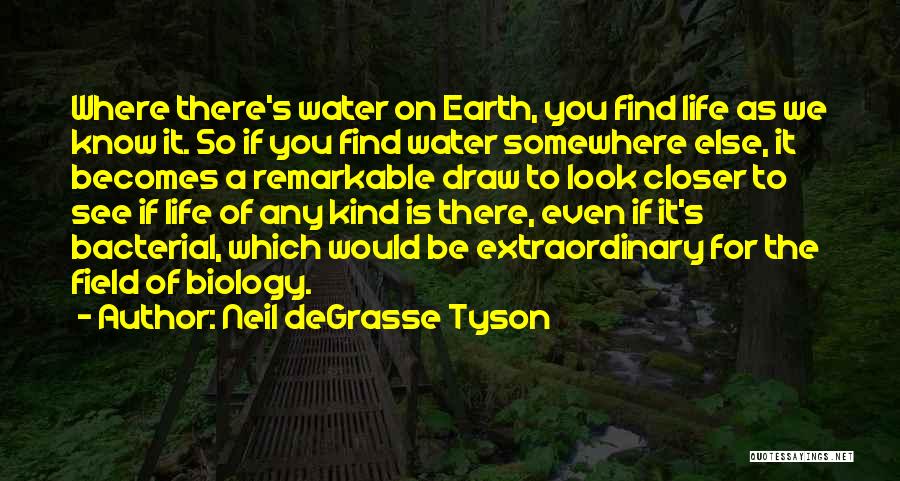 Somewhere On The Earth Quotes By Neil DeGrasse Tyson