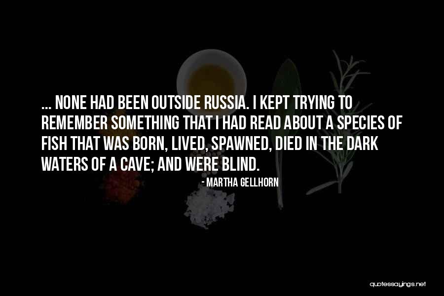 Sommerso Aventurine Quotes By Martha Gellhorn Sommerso Aventurine Quotes By Martha Gellhorn