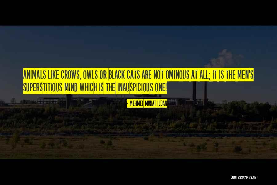 Somnambulic Quotes By Mehmet Murat Ildan Somnambulic Quotes By Mehmet Murat Ildan