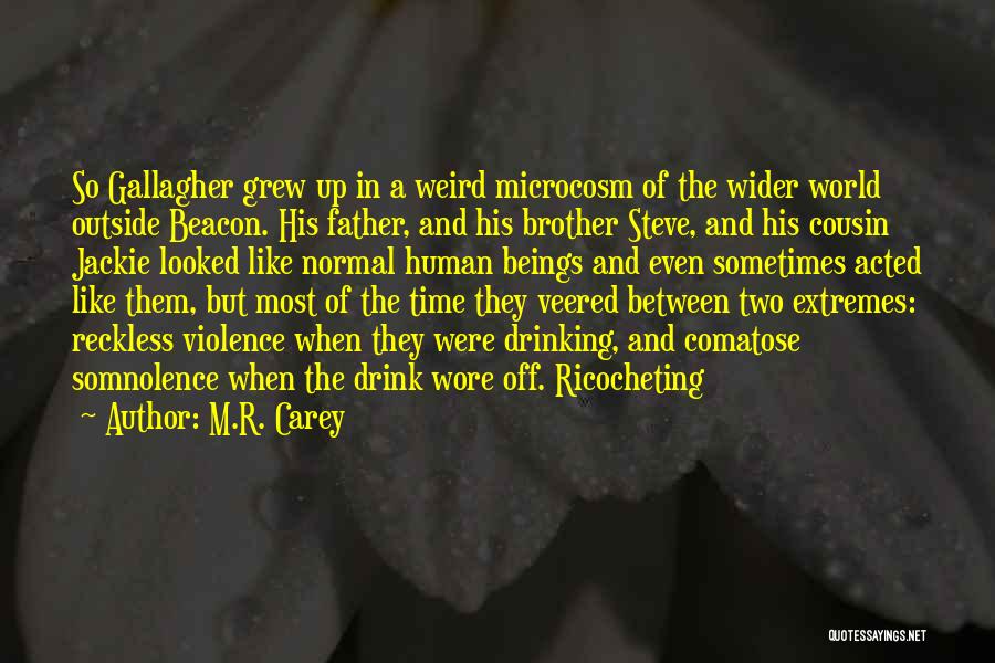 Somnolence Quotes By M.R. Carey