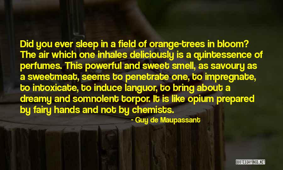 Somnolent Quotes By Guy De Maupassant Somnolent Quotes By Guy De Maupassant
