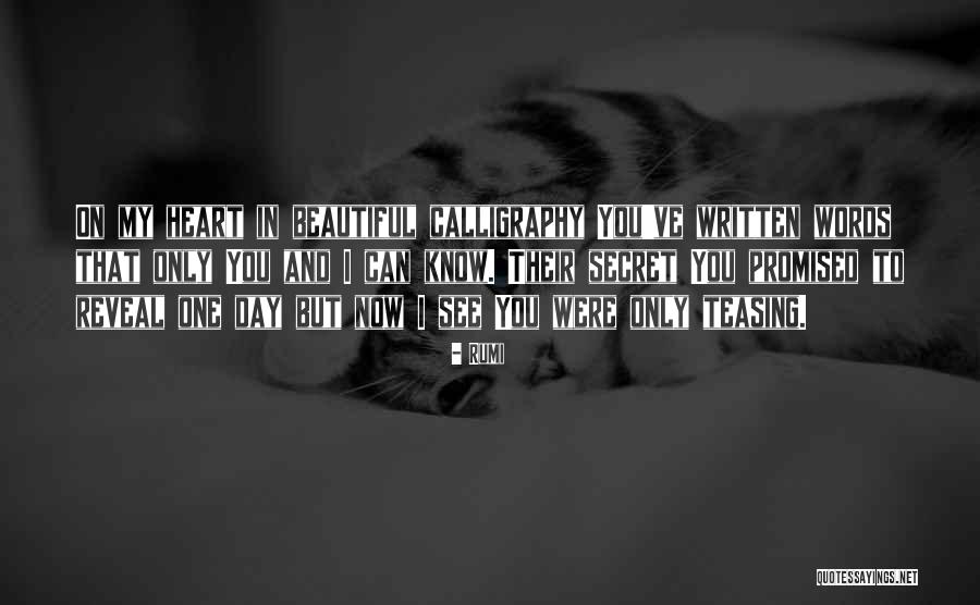 Somnum Quotes By Rumi Somnum Quotes By Rumi