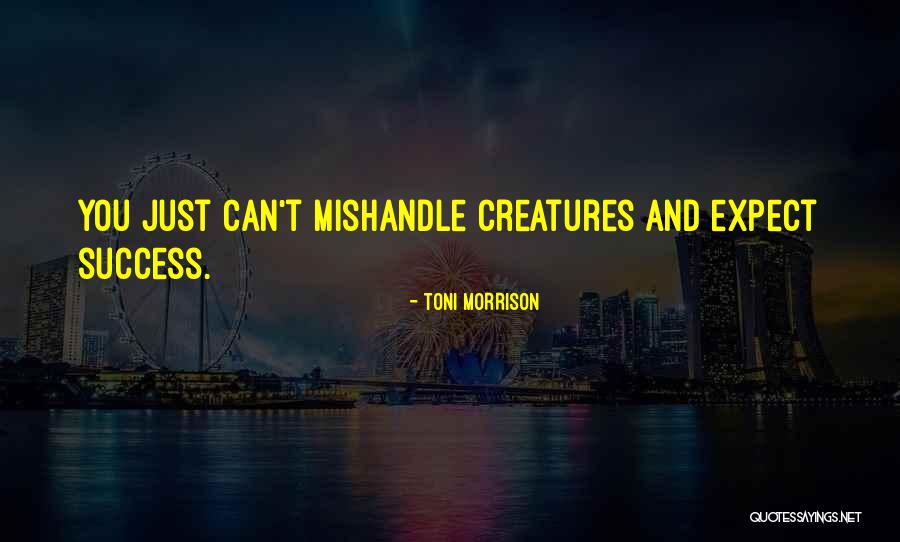 Somosierra Pass Quotes By Toni Morrison Somosierra Pass Quotes By Toni Morrison