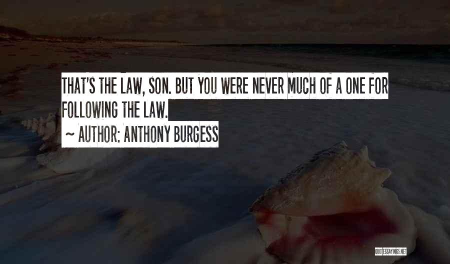 Son And Law Quotes By Anthony Burgess