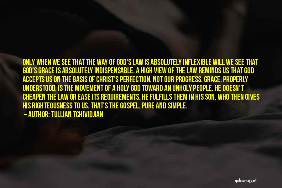 Son And Law Quotes By Tullian Tchividjian