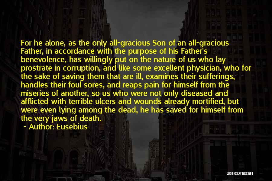 Son In Heaven Quotes By Eusebius