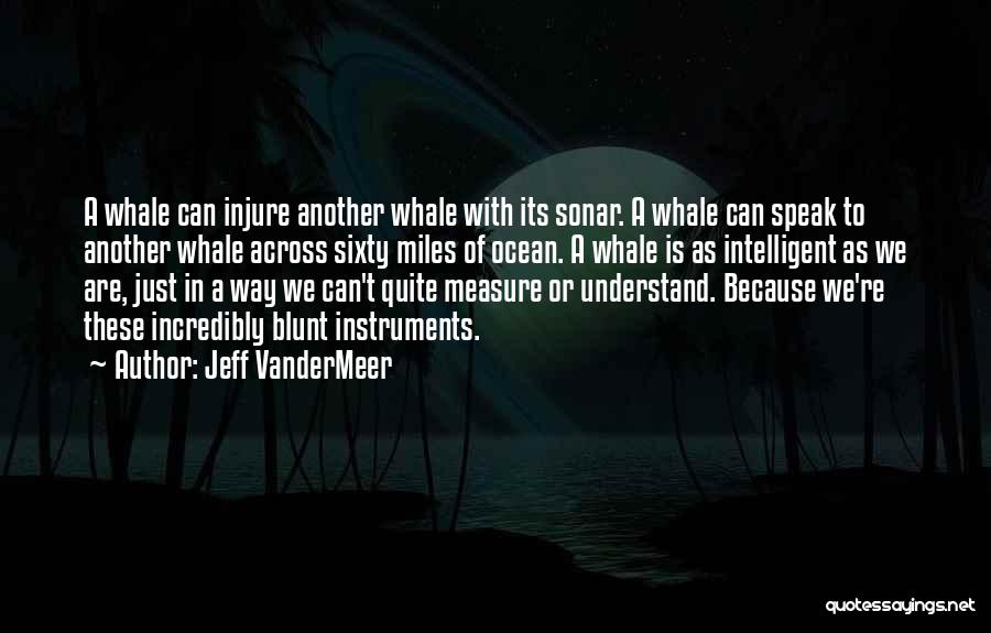 Sonar Quotes By Jeff VanderMeer