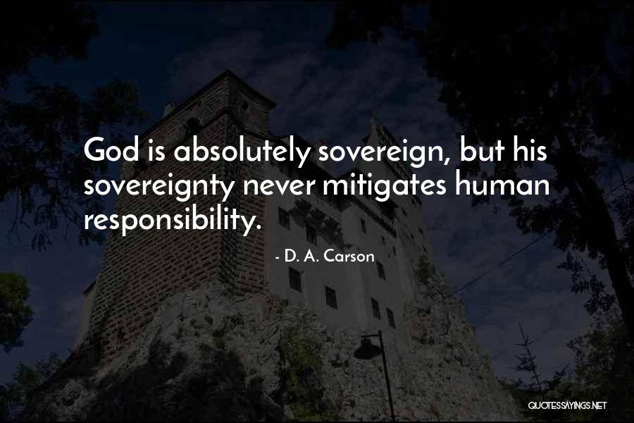 Sonck Deslee Quotes By D. A. Carson Sonck Deslee Quotes By D. A. Carson