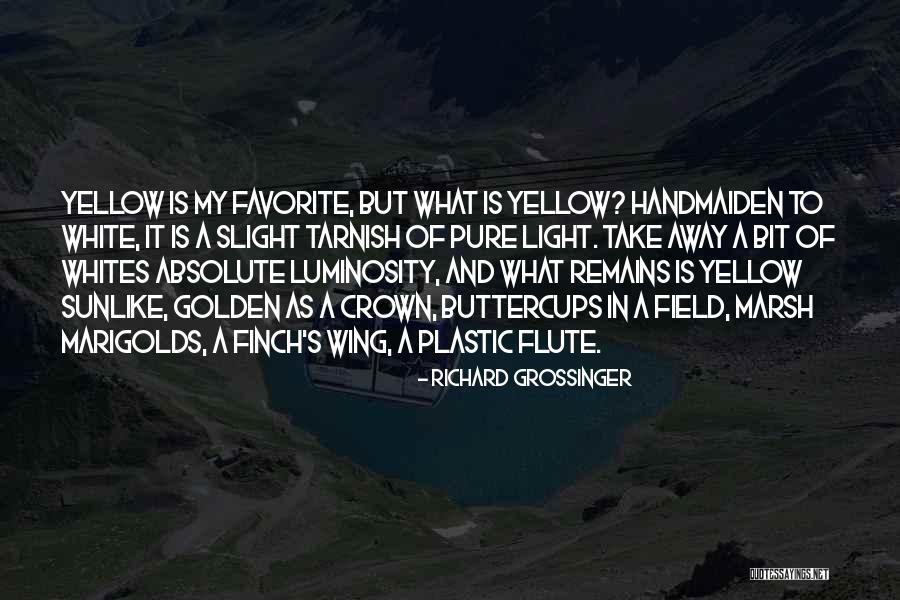Sonderhoff Group Quotes By Richard Grossinger Sonderhoff Group Quotes By Richard Grossinger