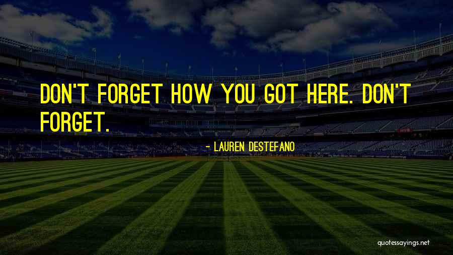 Sonet Wikipedia Quotes By Lauren DeStefano Sonet Wikipedia Quotes By Lauren DeStefano