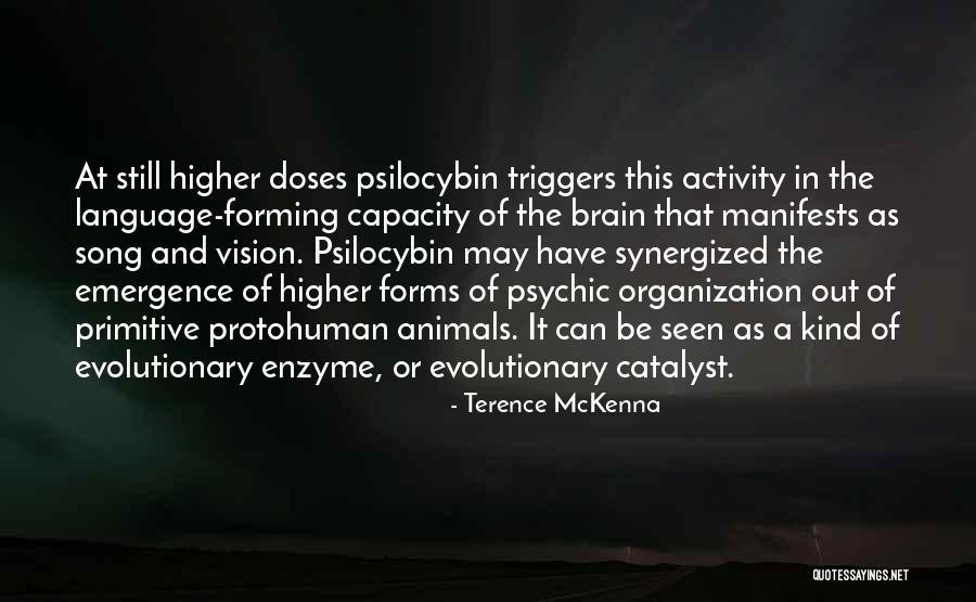 Song In Quotes By Terence McKenna Song In Quotes By Terence McKenna