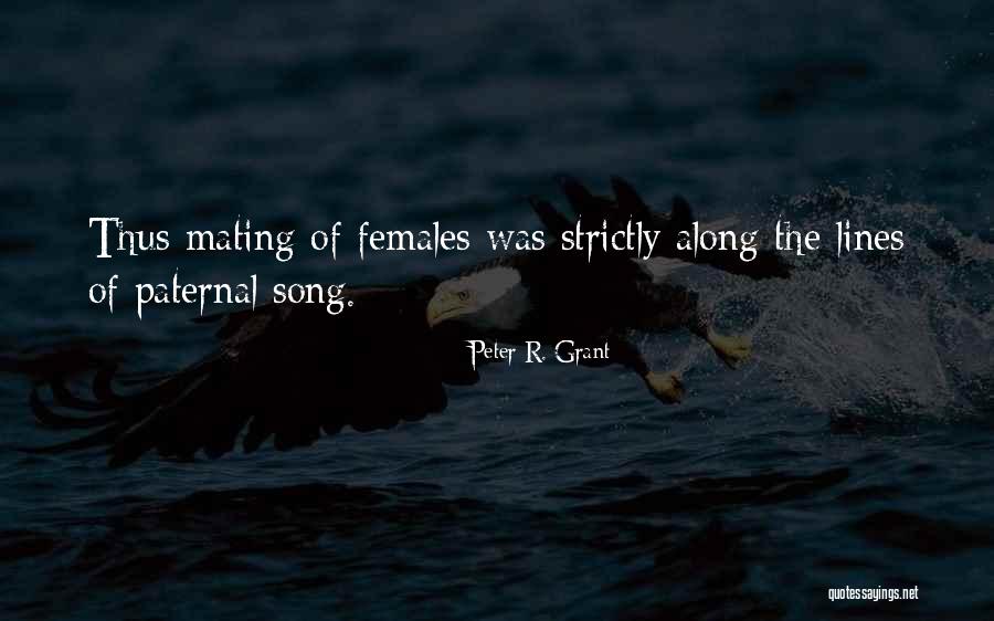 Song Lines Quotes By Peter R. Grant