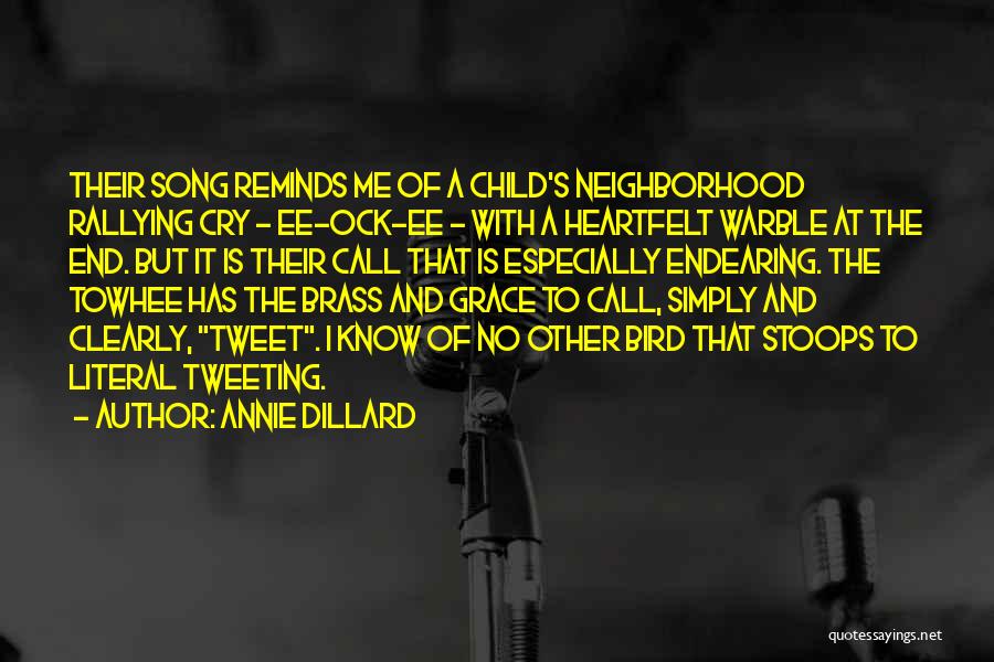 Song Quotes By Annie Dillard