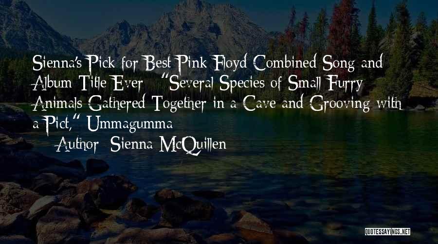 Song Title Quotes By Sienna McQuillen