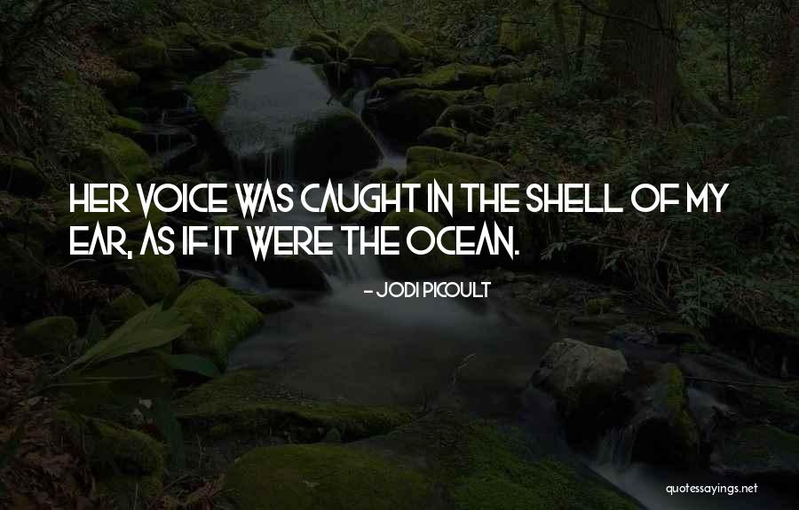 Song Voice Quotes By Jodi Picoult Song Voice Quotes By Jodi Picoult
