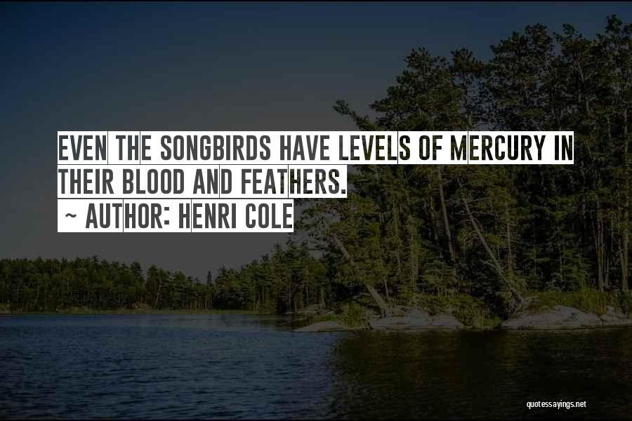 Songbirds Quotes By Henri Cole