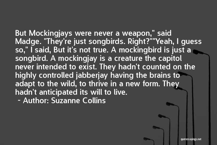 Songbirds Quotes By Suzanne Collins