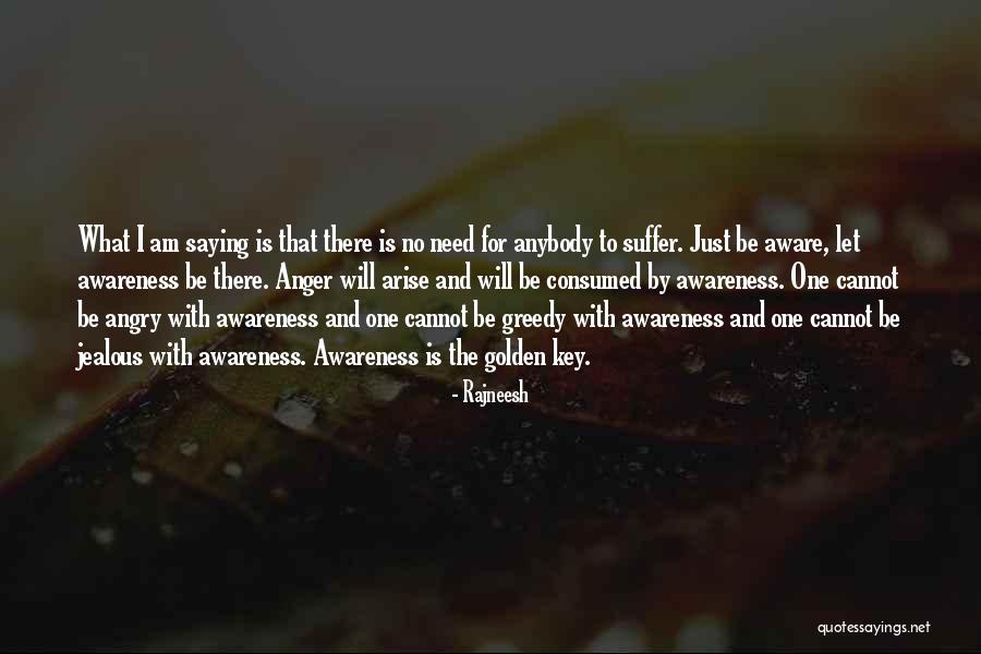 Songhay Ap Quotes By Rajneesh Songhay Ap Quotes By Rajneesh