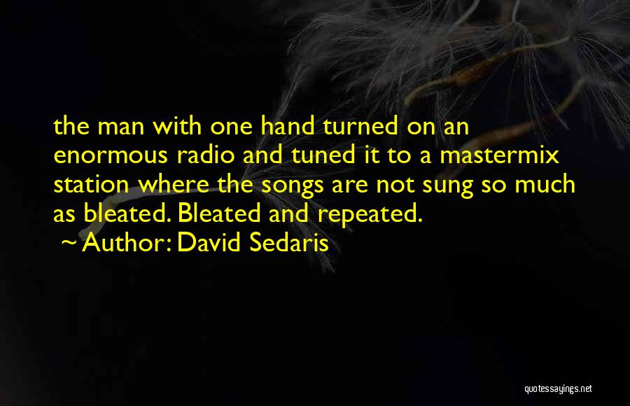 Songs With Beach Quotes By David Sedaris